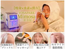 ヨサパーク ミモザ 三軒茶屋店(YOSA PARK Mimosa)
