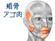 ナチュラルパーフェクトフェイス 新宿/表情筋/新宿小顔矯正専門店