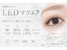 リアン 亀戸店(lien)の雰囲気（LEDマツエク遂に導入☆施術後すぐに入浴OK◎汗にも水にも強い◎）
