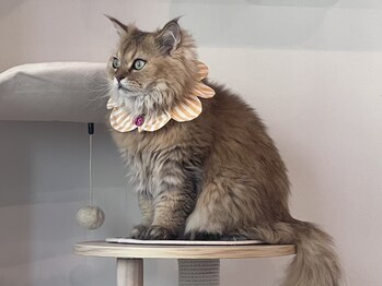 ルダリドゥー 東銀座店(Le Dali Deux)/ピエールさん