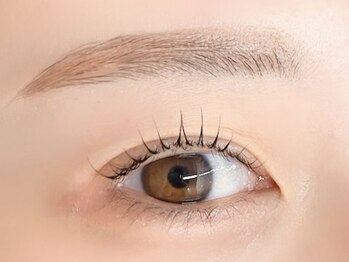 ネリネ 博多(nerine)/セットメニュー