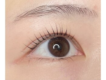 ドルチェ アイ ラッシュ(Dolce)/まつげパーマ