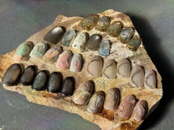 スチャ(s/cha+)/monthly dasign