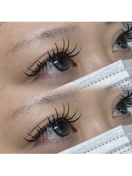 レーヴ(REVE)/フラットラッシュ160本