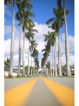 ハワイアンフォレストSpa 福岡天神店/ヤシの木ストリート