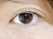 プレジール(Plaisir)/まつげパーマ