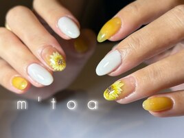 定額マンスリー/フィルイン