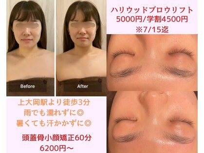 パピヨン(papillon)の写真