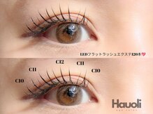 ハウオリ バイ リー 京橋(Hauoli by Lee)/LEDフラットラッシュ120本