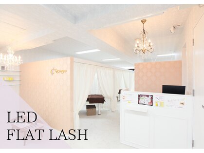 エクラン 元住吉の写真