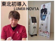 フォーティーワン(FORTY-ONE)