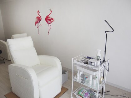 フラミンゴ(Flamingo)の写真