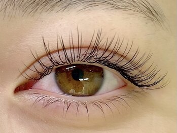 プリズム(PRISM)/フラットラッシュ100本