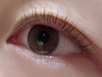 カラン 焼津店(CALIN)/ラスティングカール