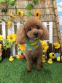 マニネイルケア なんば店(maninail CARE)&nbsp;実家でトイプー飼ってます！動物全般大好きです♪