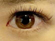 アイアイ(i eye)/フラットラッシュ♪