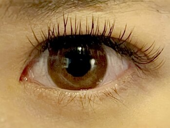 アイアイ(i eye)/フラットラッシュ♪