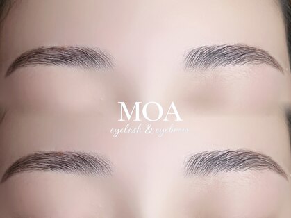 モア(MOA)の写真