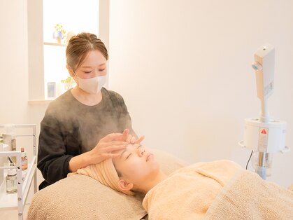 ニレ(niRe)の写真