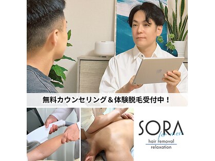 ソラ(SORA)の写真