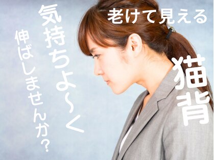 ヒールパーム(Heal Palm)の写真