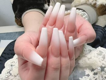 セリーヌ 柏店(Celine)/