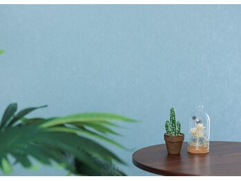 ルースアイプラス(Luz.eye+)/店内