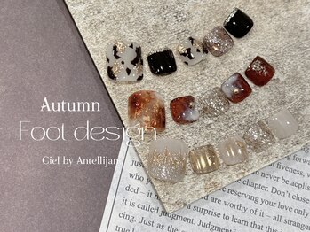 シエル バイ アンテリジャン(Ciel By Antellijan)/大人ニュアンスフットネイル3種