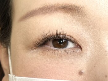 ナイア 天神(Naia)/ダブルフラットラッシュ120束