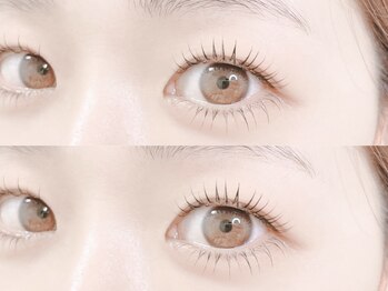 エミュアイラッシュ 恵比寿 広尾(Emu eyelash)/【ラッシュリフト上下】恵比寿