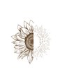 ソル(soL)/まつげパーマ・アイブロウ専門店 soL