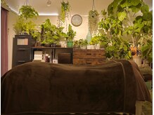 リセットモア(Reset More)の雰囲気(植物の癒しに包まれ、心身がふわっとほどける空間)