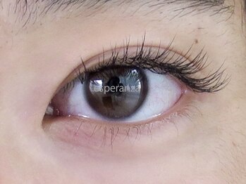 エスペランサ(esperanza)/【本数別イメージ】両目140本
