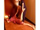 シャンティ(shanti)の写真