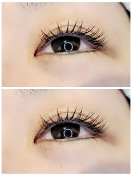 アトリエクレフ/シングルラッシュ 120本