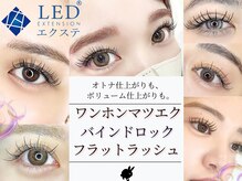 バニーラッシュ(Bunny Lash)