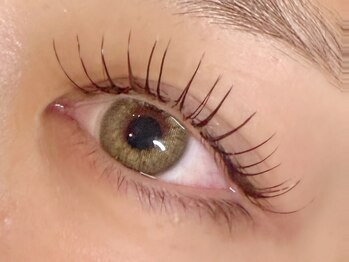 ラシク ゼロ 草加駅前(Lashiku Zero)/ブラウンフラットマットラッシュ