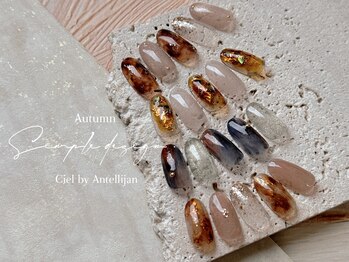 シエル バイ アンテリジャン(Ciel By Antellijan)/こっくりべっこうネイル