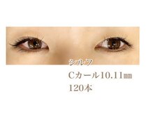 シルフ 石橋店(Sylph)/キュートスタイル