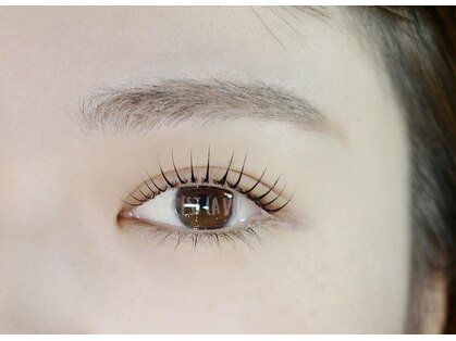 セラヴィ(C'est la vie)の写真