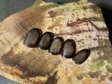 スチャ(s/cha+)/monthly dasign