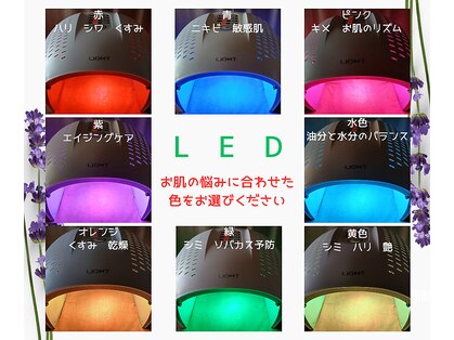 ノアの写真