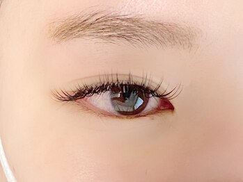 ロベリア 恵比寿(Lobelia)/フラットラッシュ