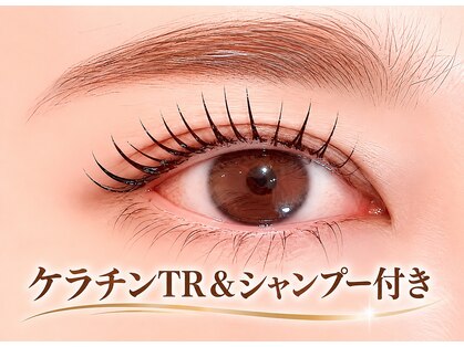 トップ(TOP)の写真