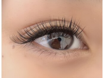 リビング(LIVING)/ダブルフラットラッシュ80束