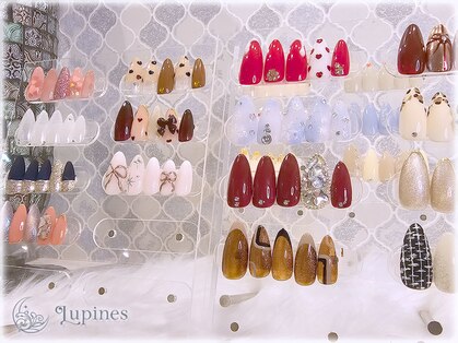 ルピネス(Lupines)の写真