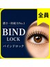 【隙間をサクッと解決】バインドロック40束まで★全員OK