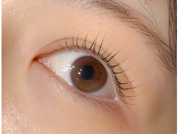 クラシカ 幡ヶ谷店(CLASSICA)/12月まつ毛☆