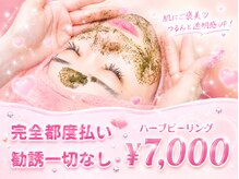 ジスメリア(JIS MERIA)