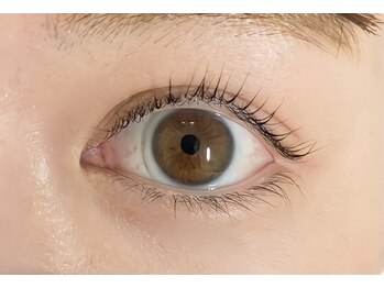 プリジュール(Pljoul)/上まつ毛パーマ